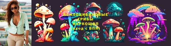 ешки Алексеевка