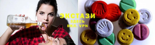 гидра Инта