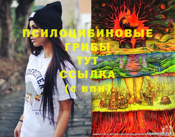 ешки Алексеевка