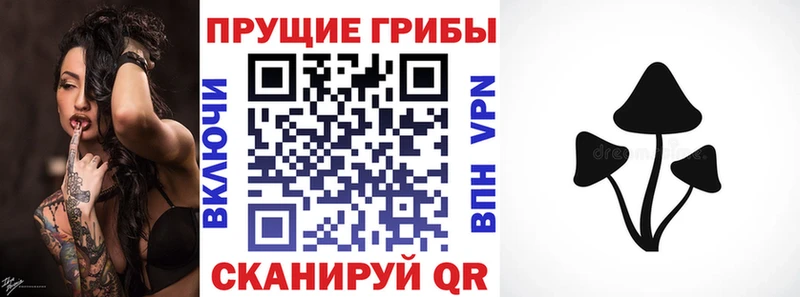 Псилоцибиновые грибы мицелий  omg ссылки  Порхов 